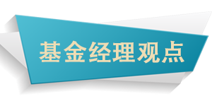 基金經理觀點.png 基金經理觀點.png